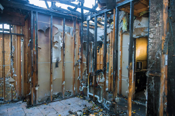 Professional Fire Damage Removal technician working in Lawrence, IN